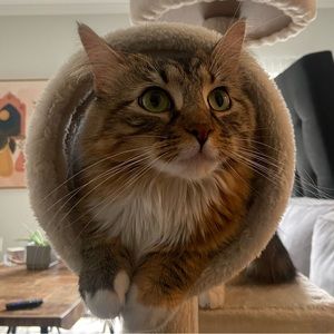 Meet your Posher, Emma